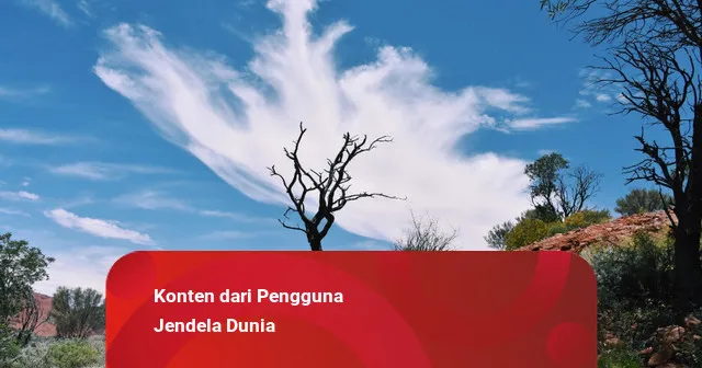 Rest Area 282: Jembatan Kenyamanan di Tengah Perjalanan Pantura